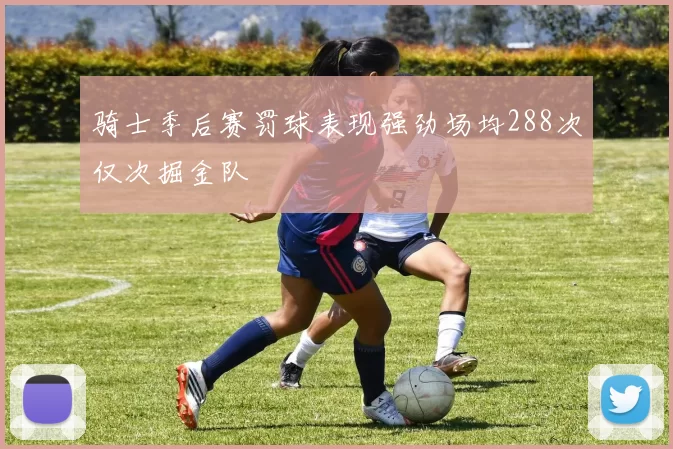 骑士季后赛罚球表现强劲场均288次仅次掘金队